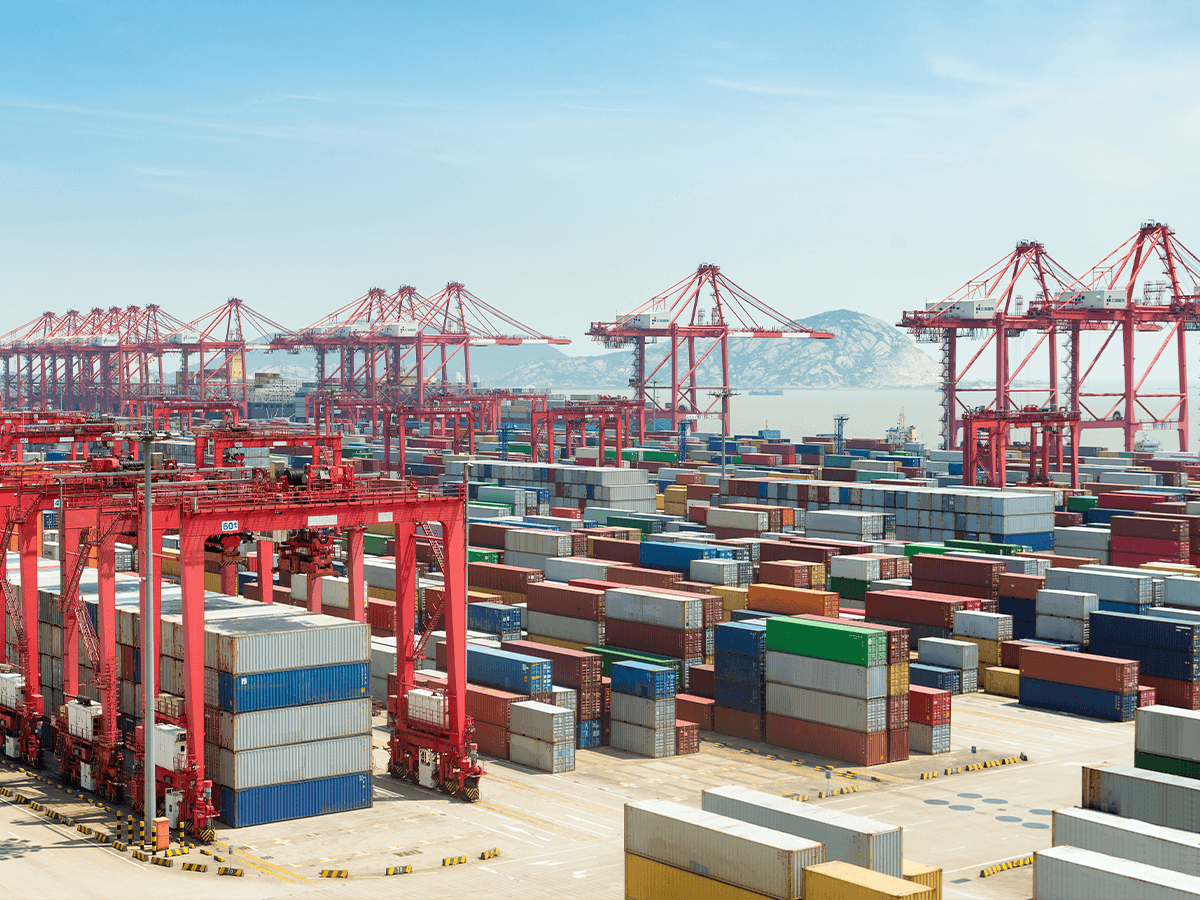 Dịch vụ hải quan