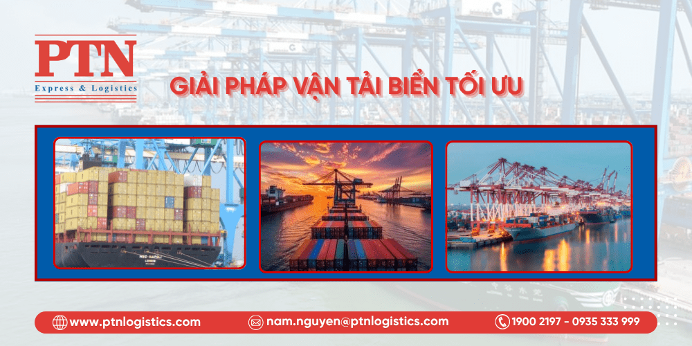 Các giải pháp vận tải biển tối ưu từ PTN Logistics