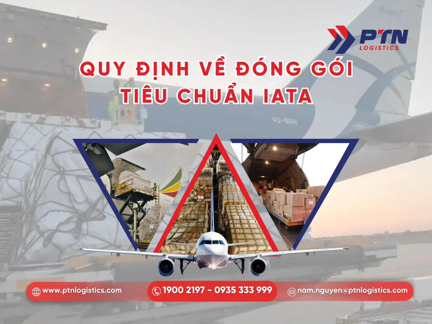 Đóng gói theo tiêu chuẩn IATA
