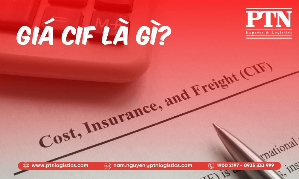 Giá CIF là gì?
