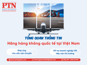 Hãng hàng không quố tế tại Việt Nam