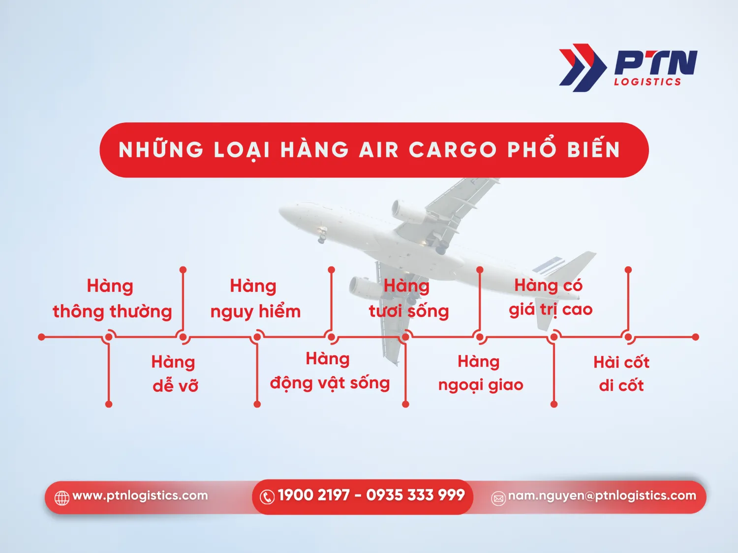 Loại hàng air cargo phổ biến hiện nay