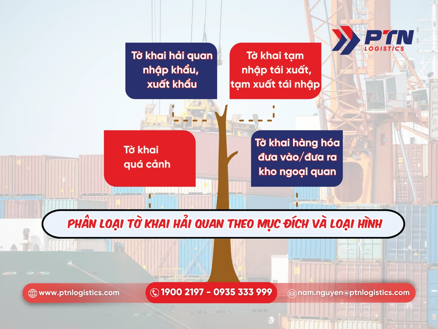 Phân loại tờ khai hải quan