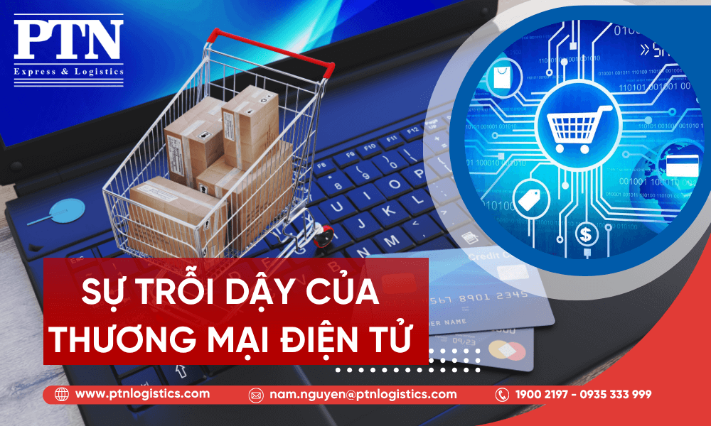 Sự trỗi dậy của thương mại điện tử