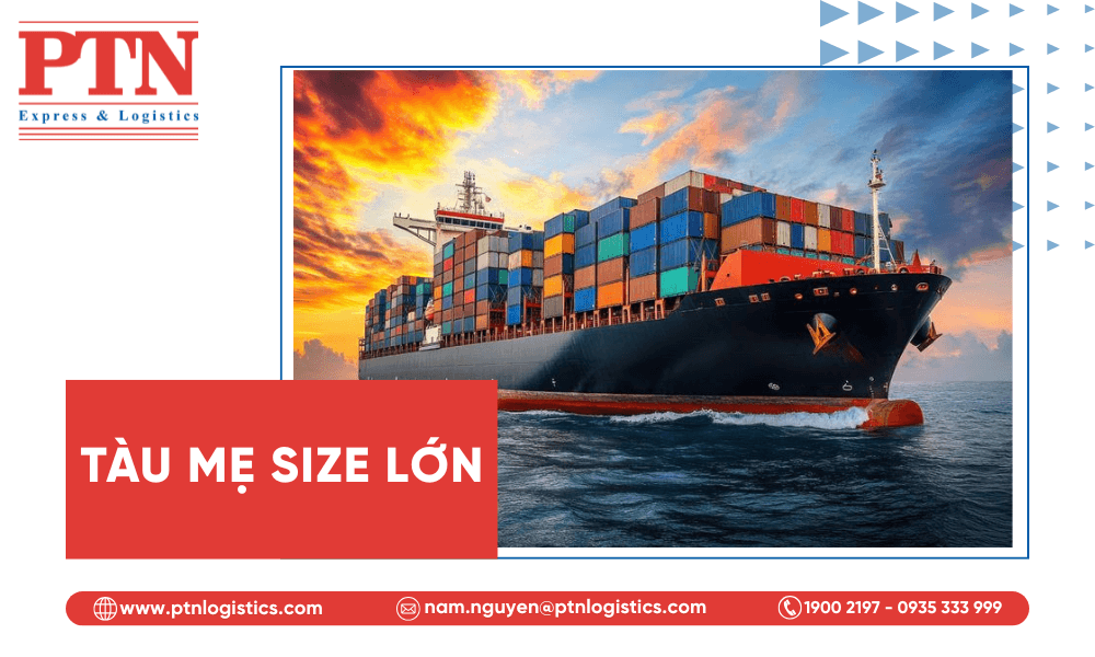 Tàu mẹ size lớn