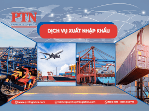 Tìm hiểu về dịch vụ xuất nhập khẩu là gì trong chuỗi cung ứng