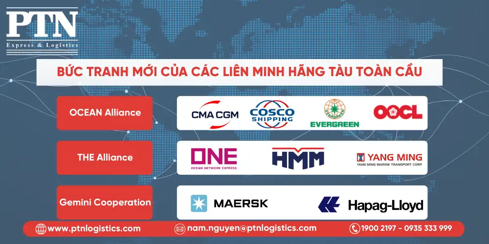Bức tranh mới của các liên minh hãng tàu