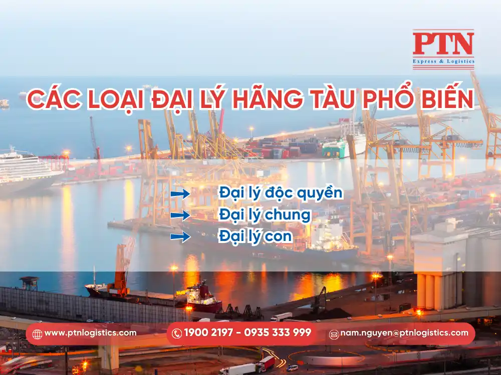 Các loại đại lý hãng tàu phổ biến hiện nay