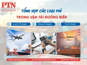 Các loại phí trong vận tải đường biển