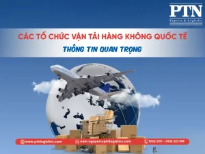 Các tổ chức vận tải hàng không quốc tế - Thông tin quan trọng
