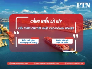 Cảng biển là gì? Kiến thức chi tiết nhất cho doanh nghiệp!