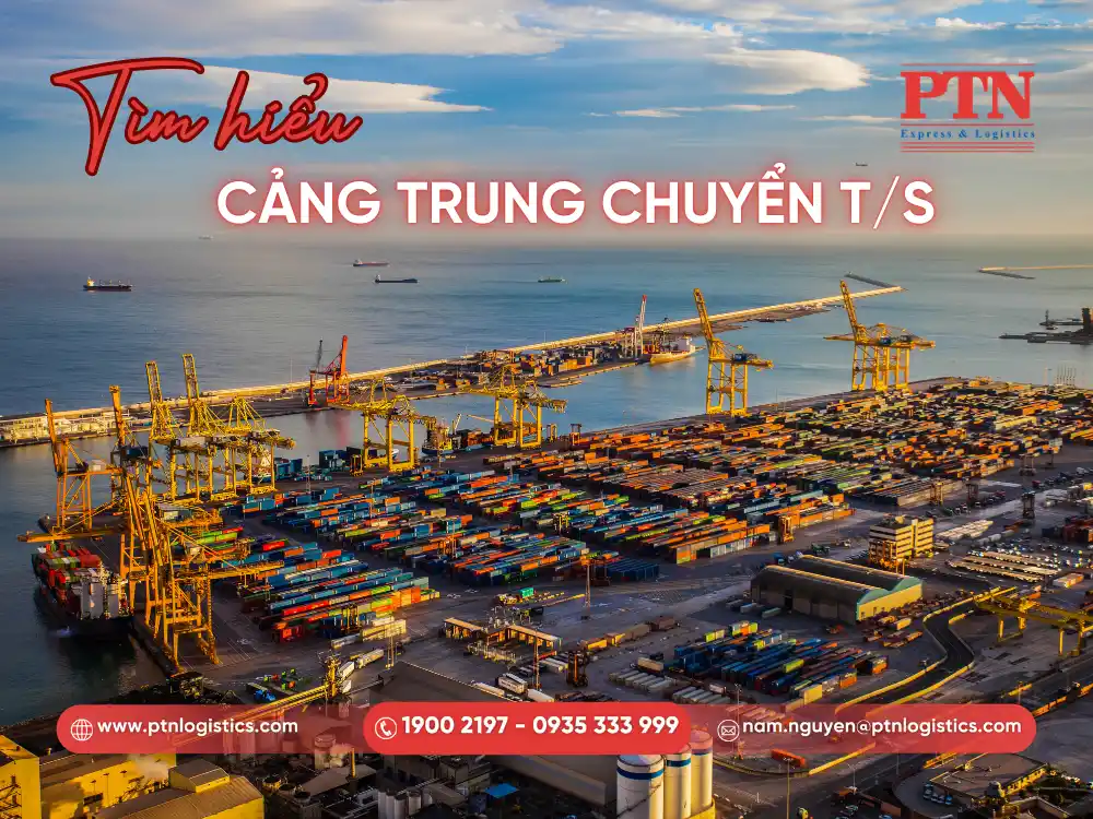 Cảng trung chuyển T/S là gì?