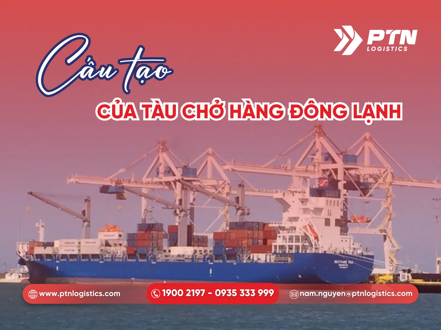 Cấu tạo của một tàu chở hàng đông lạnh