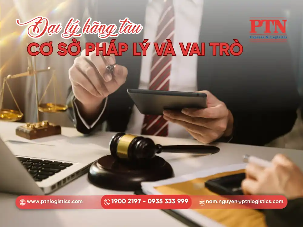 Cơ sở pháp lý và vai trò đại diện theo ủy quyền