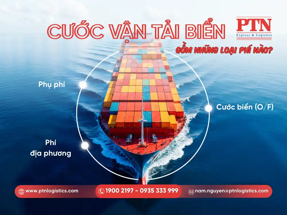Cước vận tải biển gồm các loại phí 