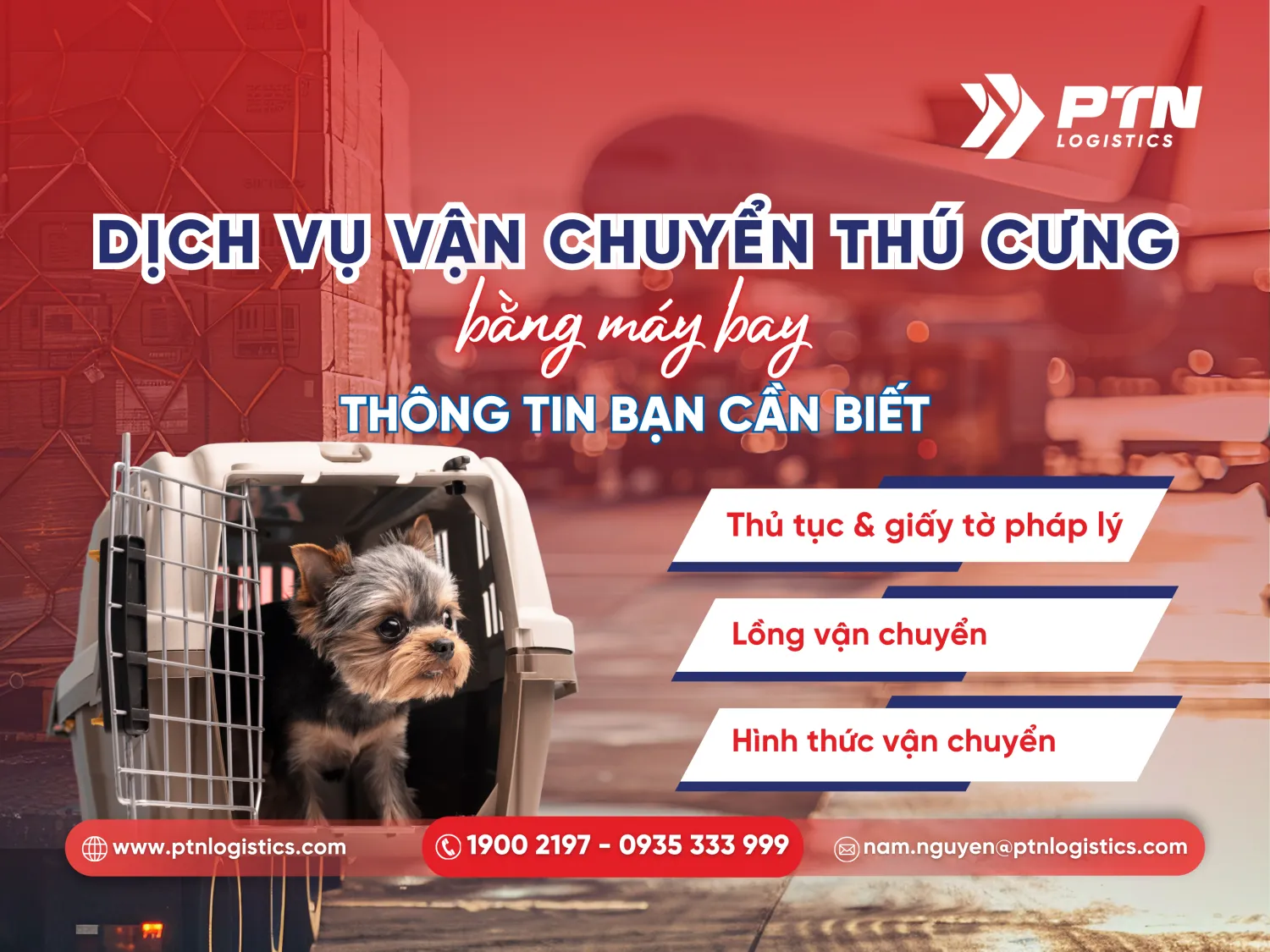 Dịch vụ vận chuyển thú cưng bằng máy bay: Thông tin bạn cần biết