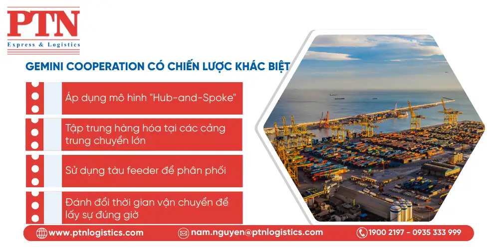Gemini Cooperation có chiến lược khác biệt