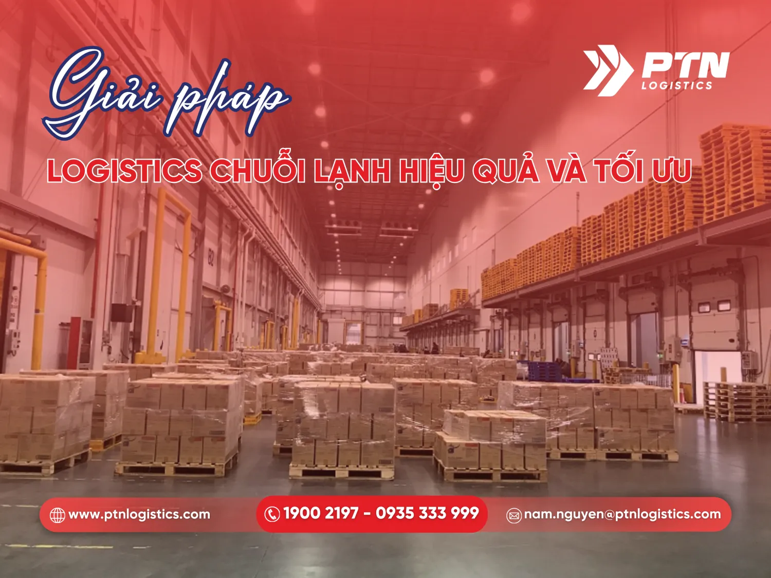 Giải pháp logistics của chuỗi lạnh hiệu quả và tối ưu