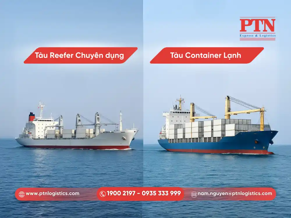 Hai loại hình của tàu chở hàng đông lạnh