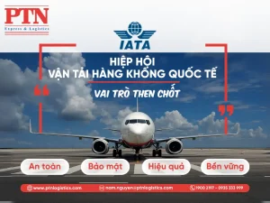 Hiệp hội Vận tải Hàng không Quốc tế: Vai trò then chốt