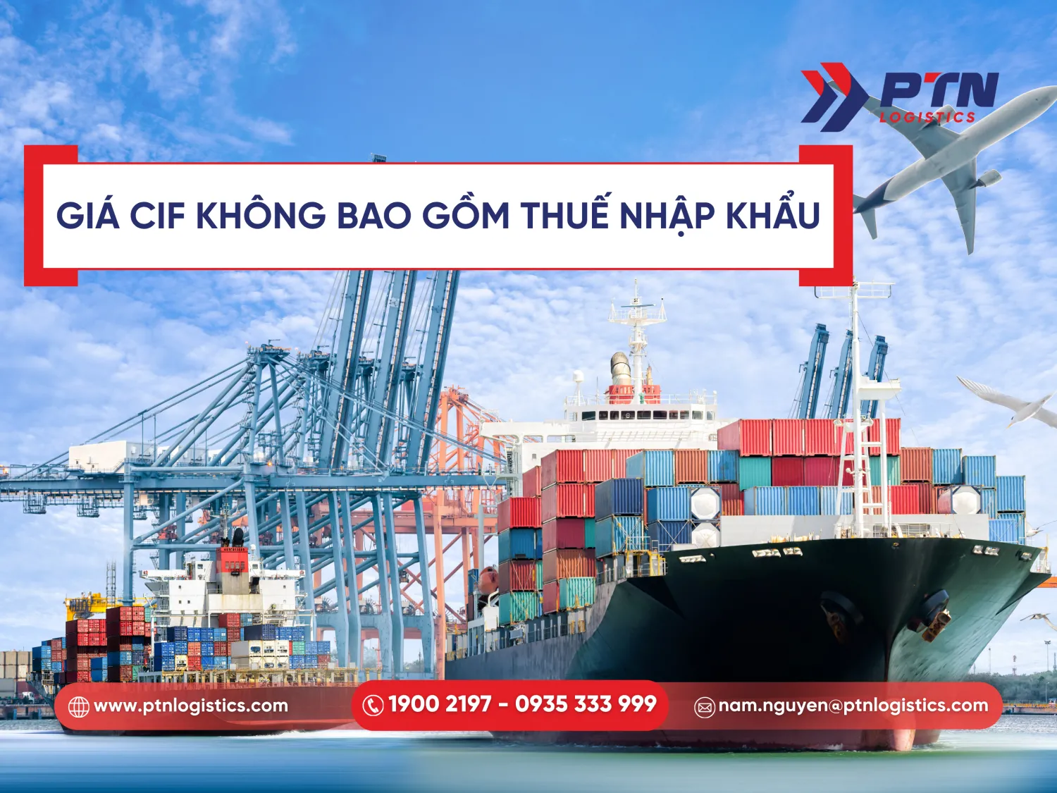 Khẳng định rằng giá CIF không bao gồm thuế nhập khẩu