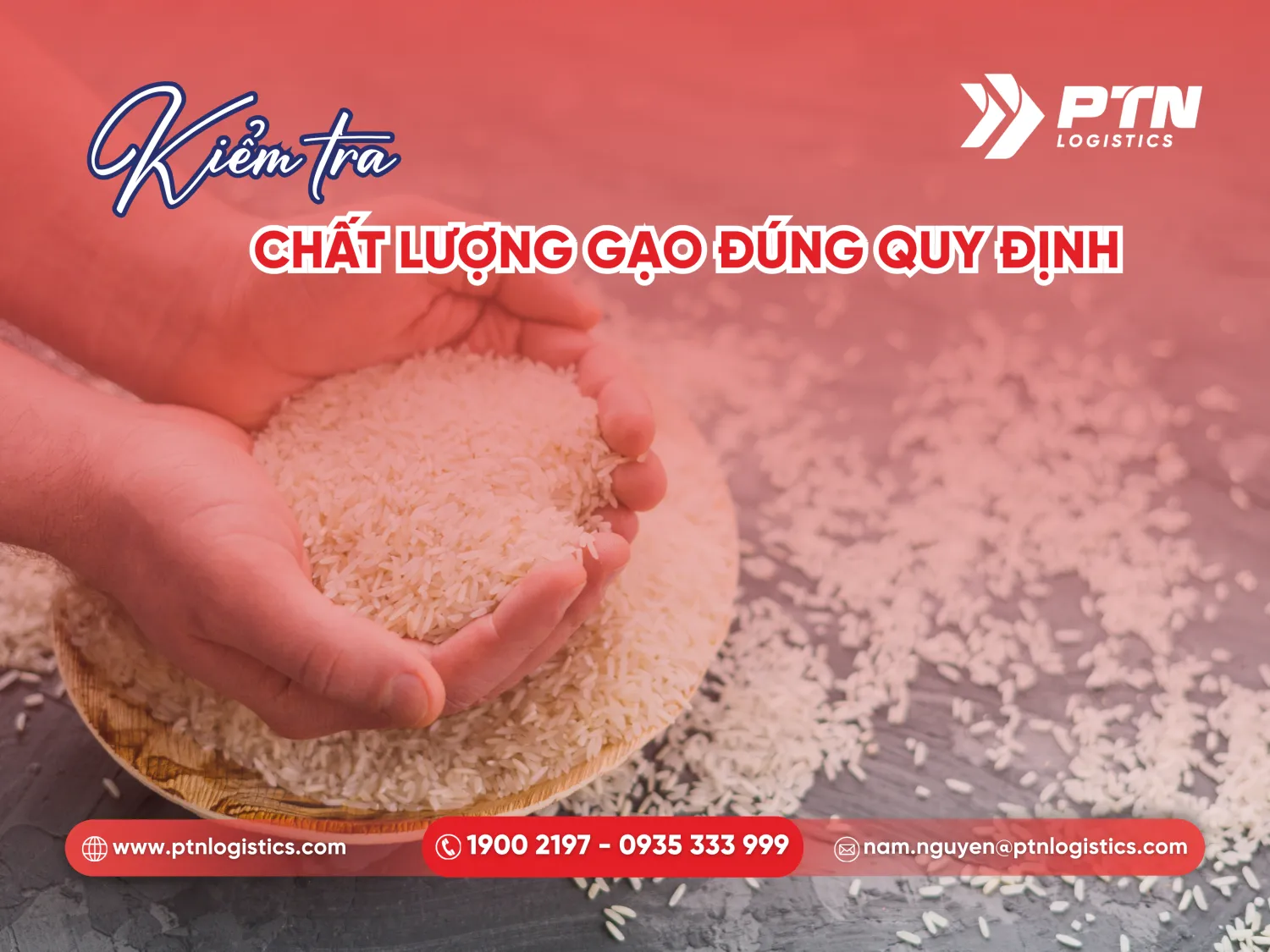 Kiểm tra chất lượng gạo đúng quy định