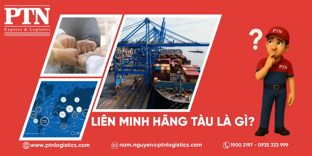 Liên minh hãng tàu là gì?