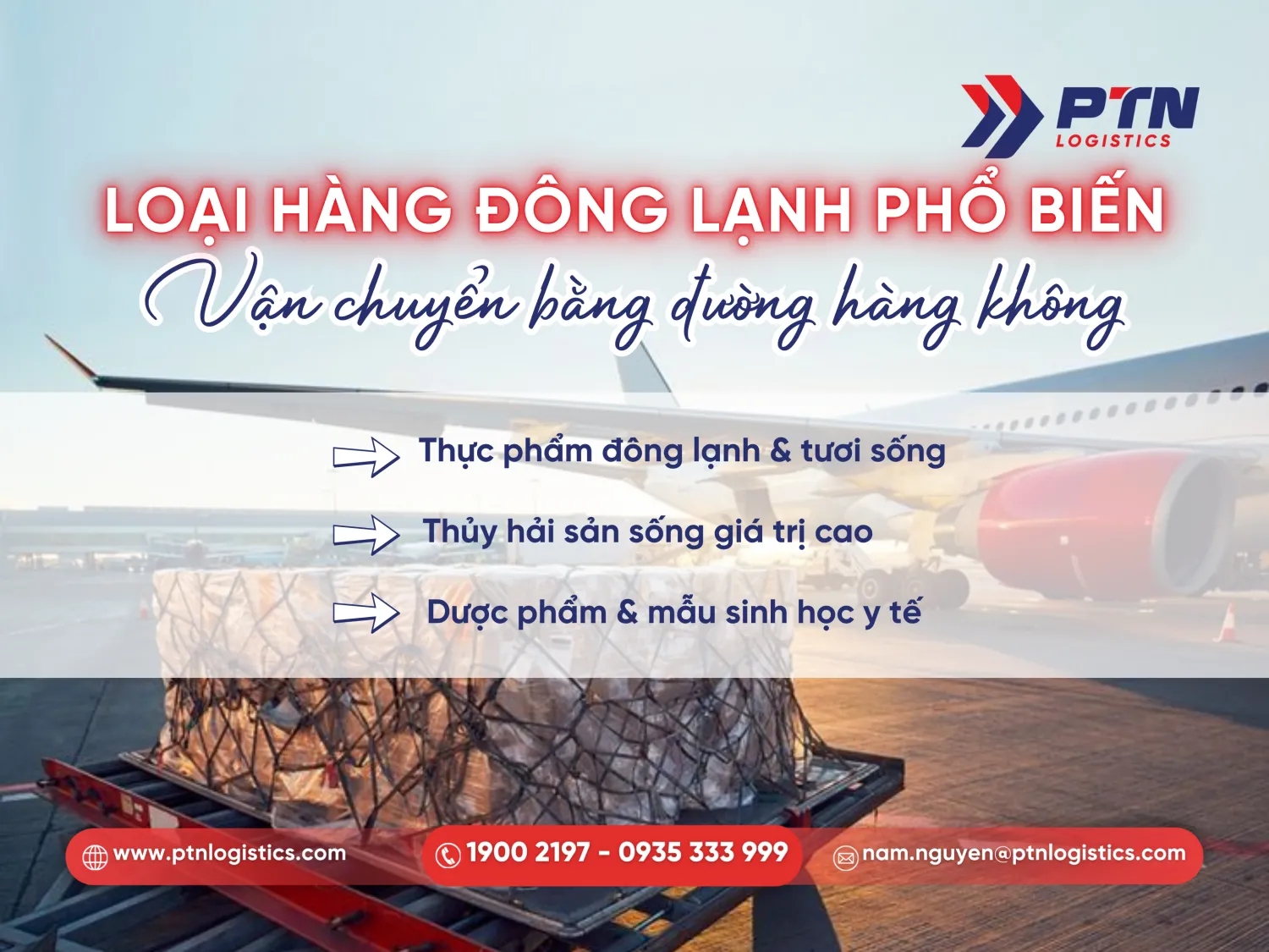 Loại hàng đông lạnh phổ biến vận chuyển bằng đường hàng không