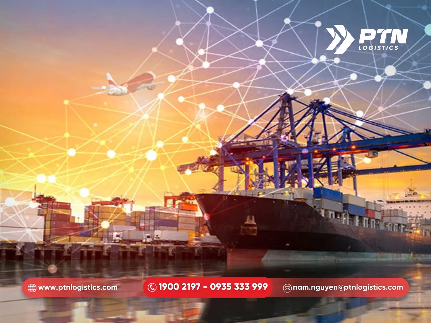 Mạng lưới vận chuyển rất linh hoạt
