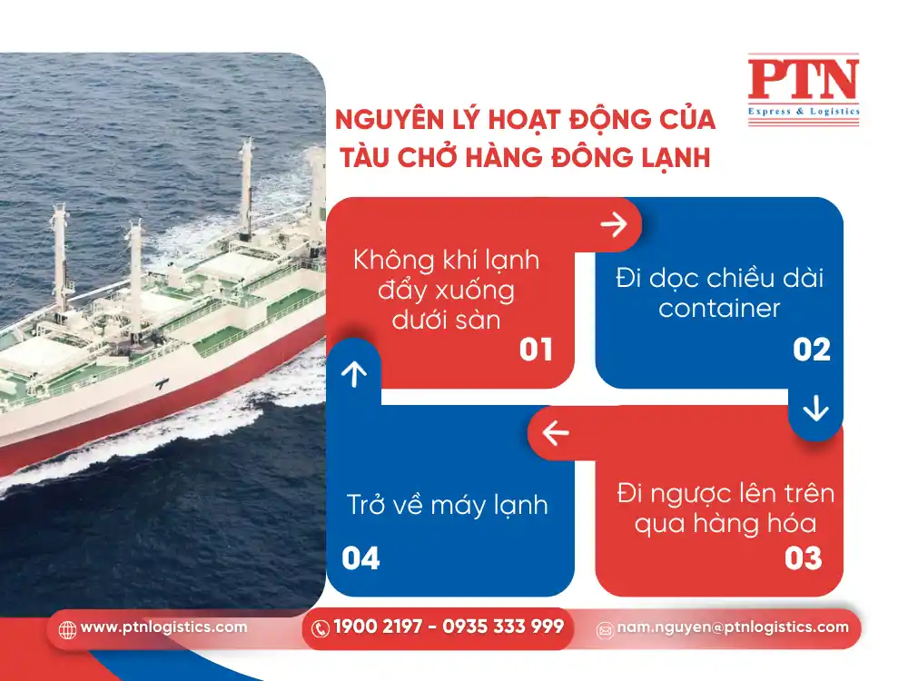 Nguyên lý hoạt động của tàu chở hàng đông lạnh