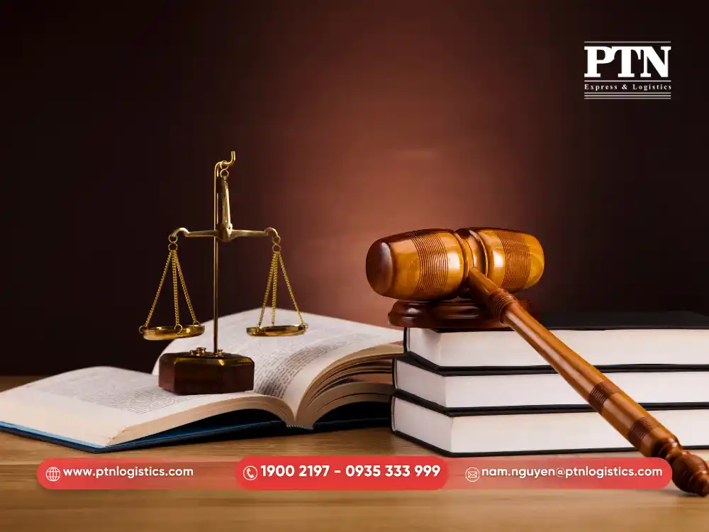 Những văn bản pháp luật liên quan