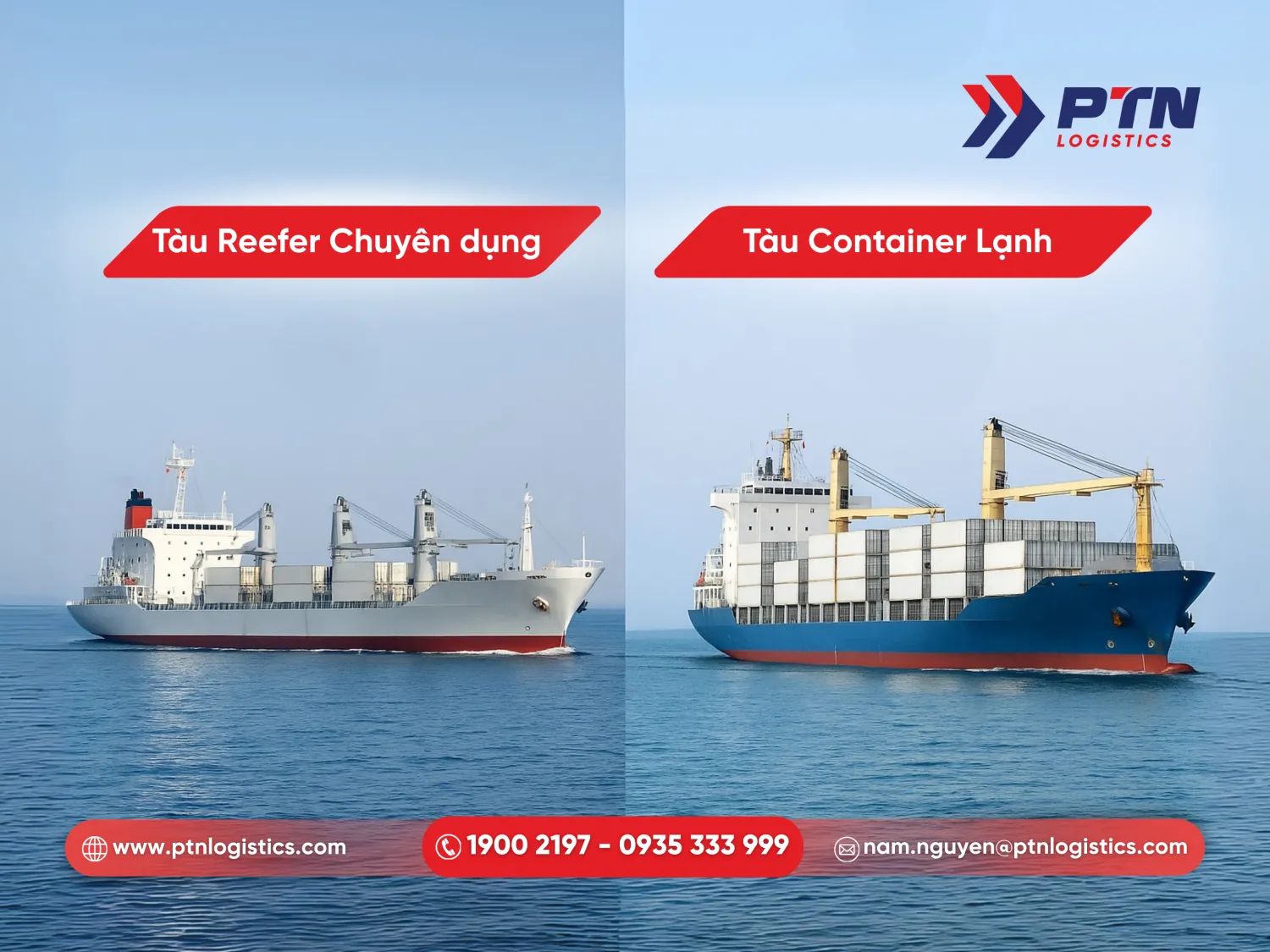 Phân loại tàu chở hàng đông lạnh phổ biến