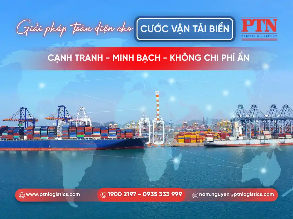 PTN Logistics cung cấp giải pháp toàn diện cho cước vận tải biển