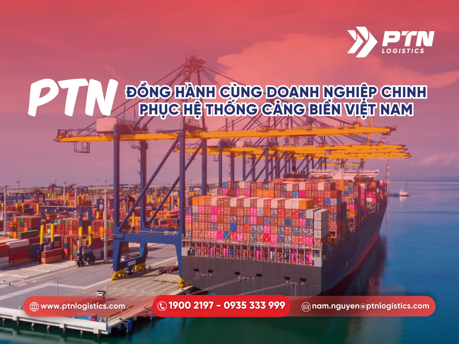 PTN Logistics đồng hành cùng doanh nghiệp chinh phục hệ thống cảng biển Việt Nam