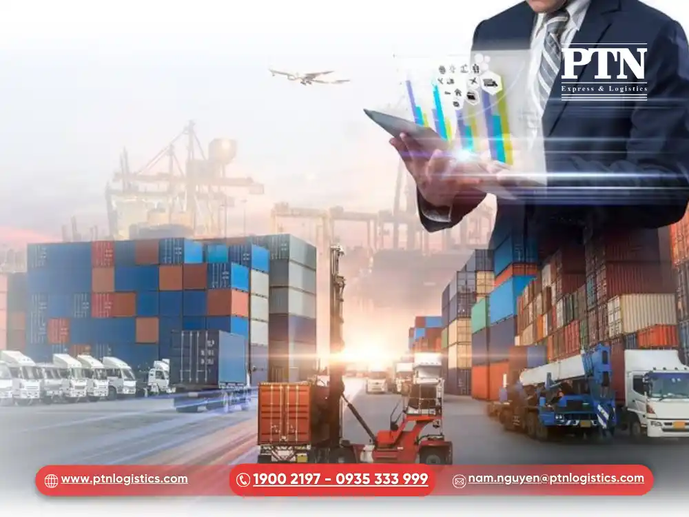 PTN Logistics: Giải pháp thông quan chuyên nghiệp tối ưu chi phí