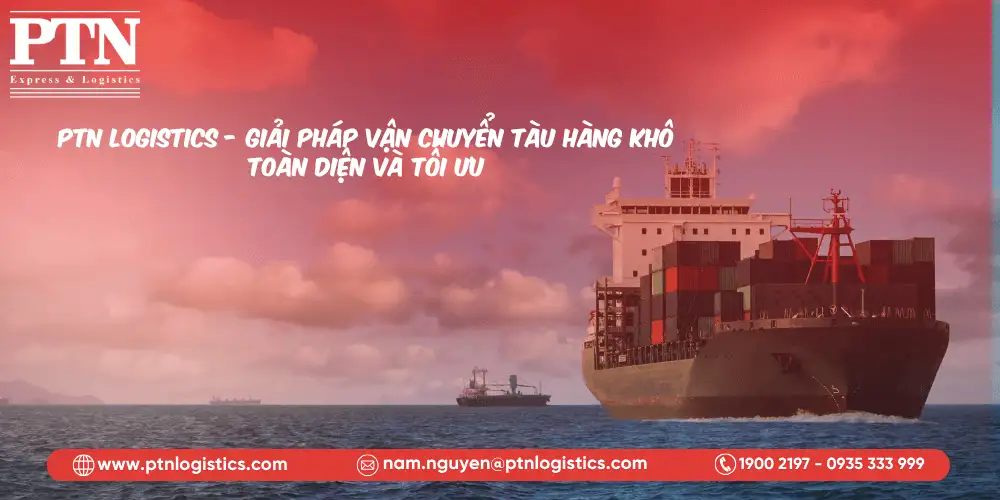 PTN Logistics: Giải pháp vận chuyển tàu hàng khô toàn diện và tối ưu