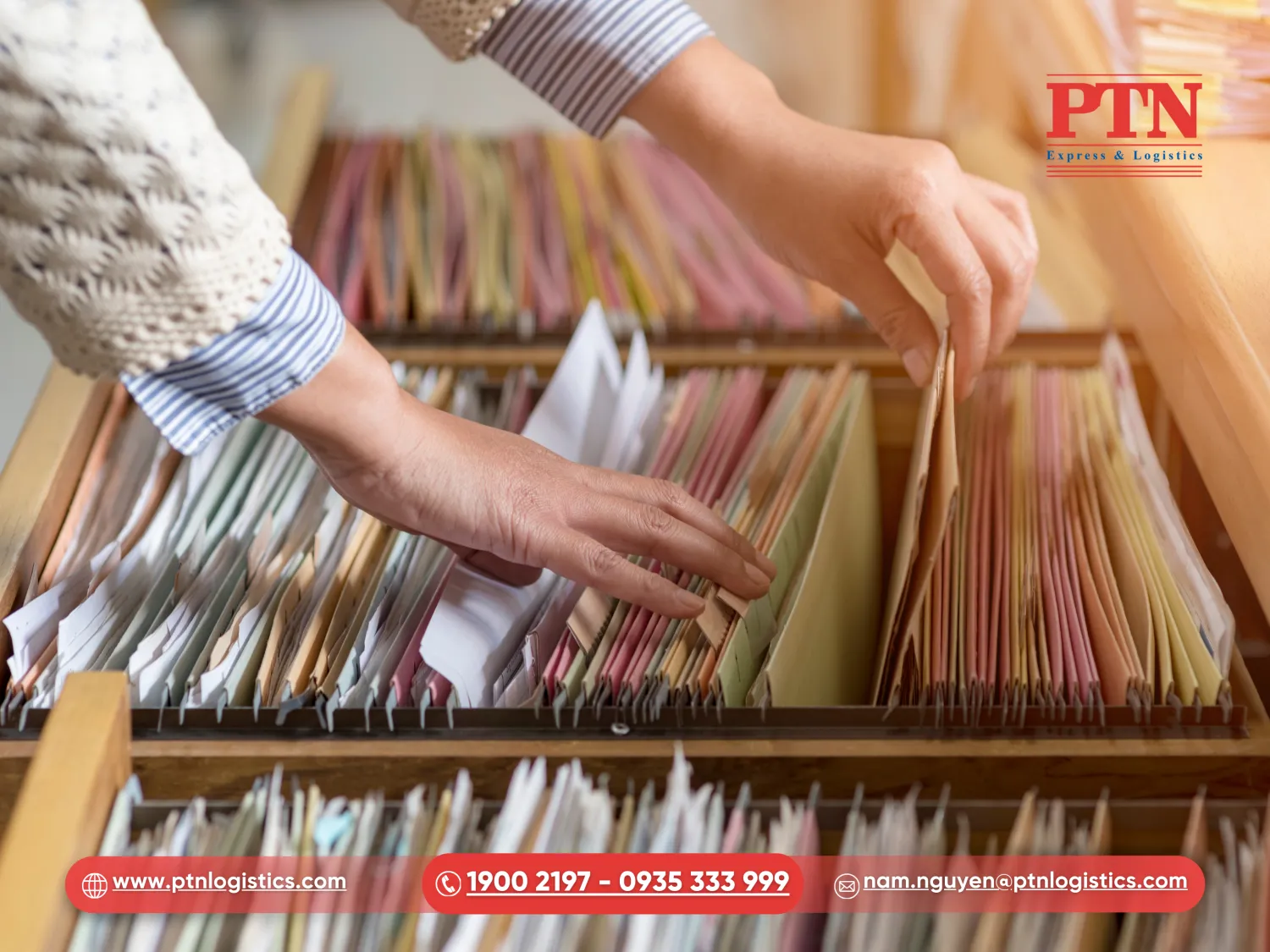 PTN Logistics: Hỗ trợ toàn diện về chứng từ và giấy phép