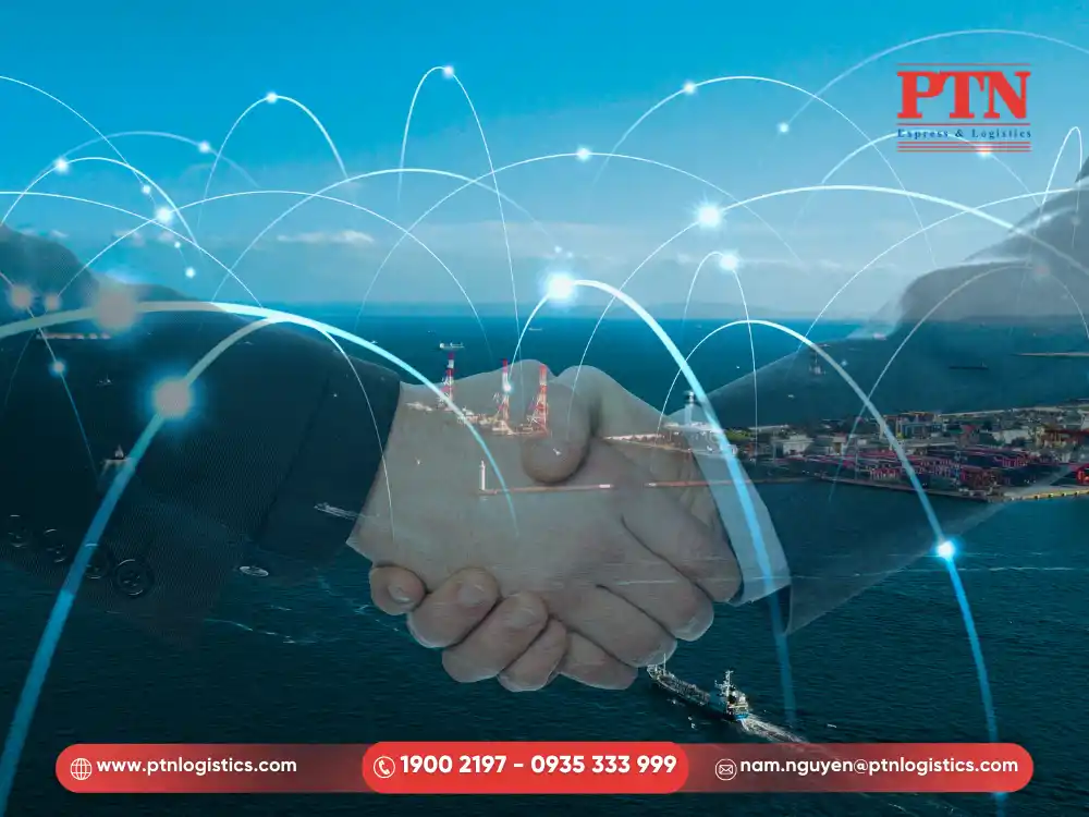 PTN Logistics sở hữu mạng lưới đối tác hãng tàu rộng lớn trên toàn cầu