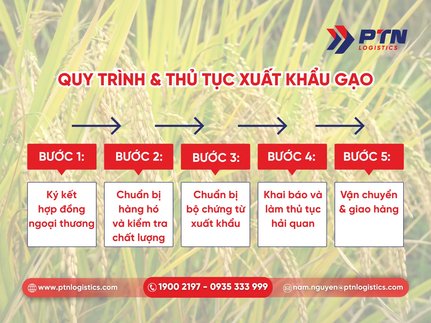 Quy trình và thủ tục xuất khẩu gạo chi tiết