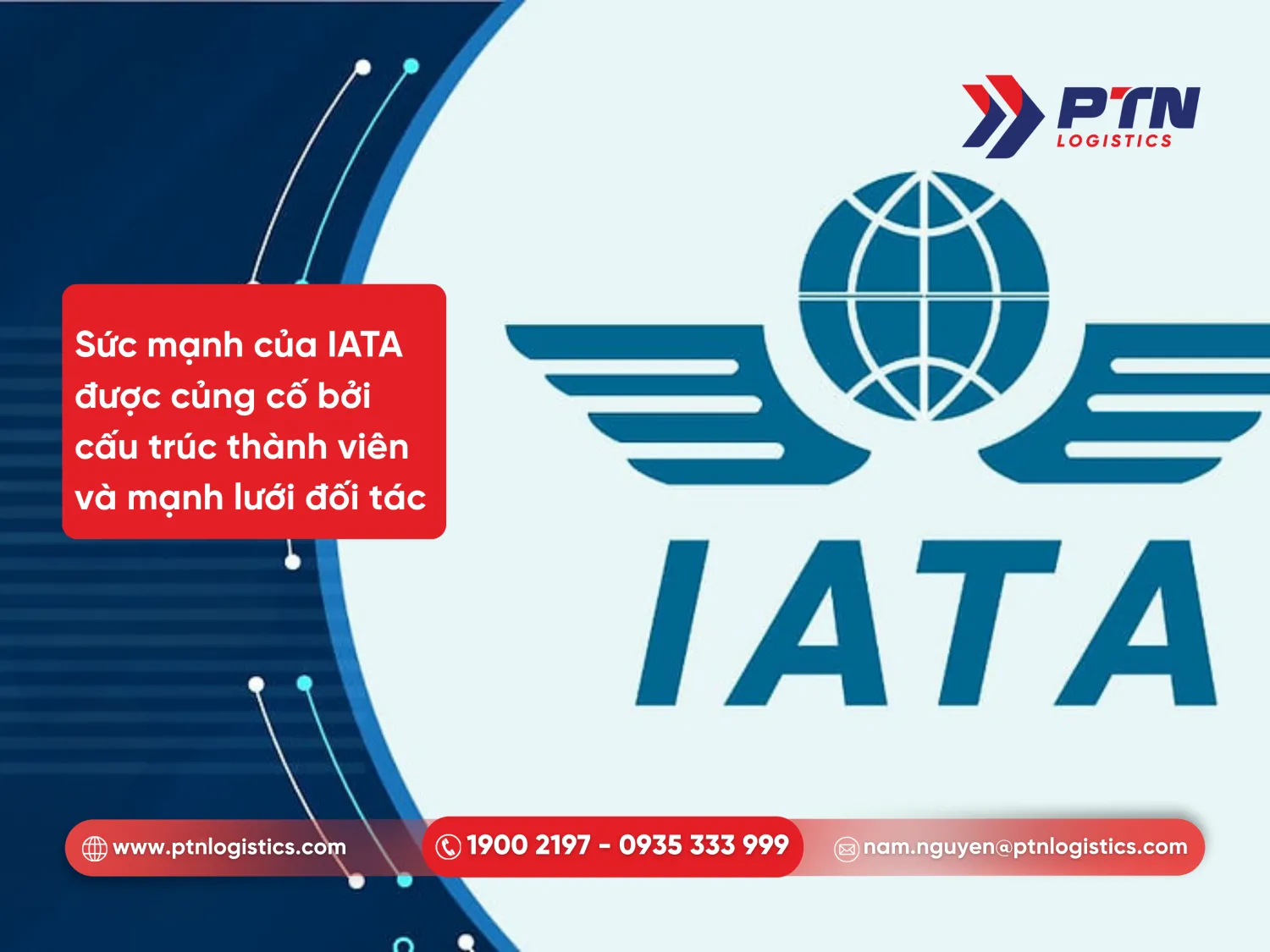 Sức mạnh của hiệp hội IATA