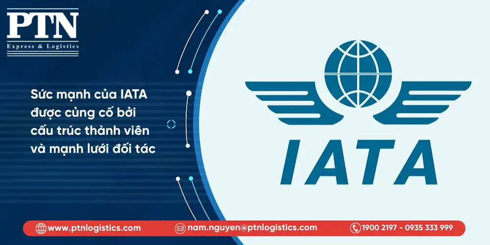Sức mạnh của IATA