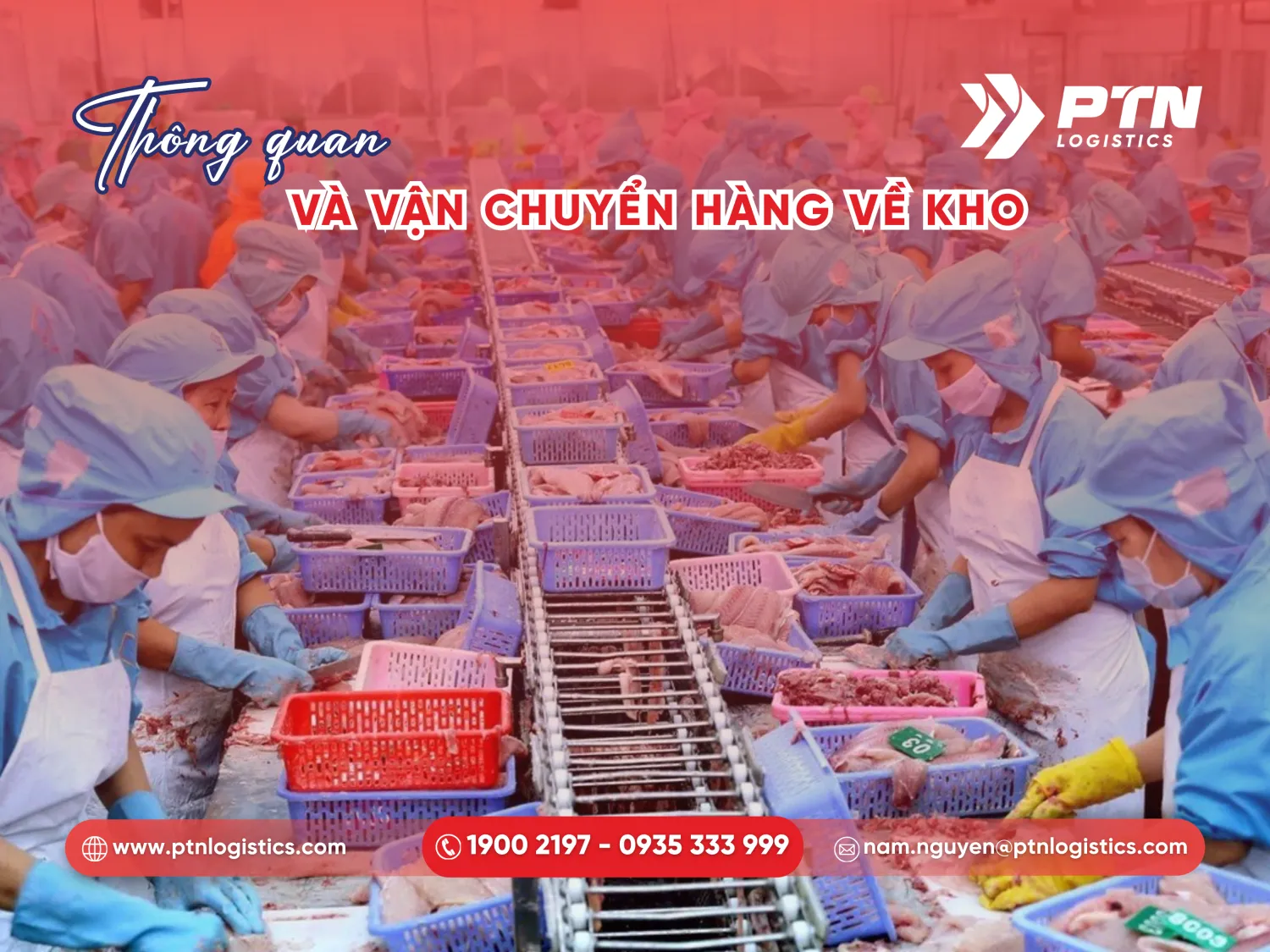Thông quan và vận chuyển hàng hóa về kho