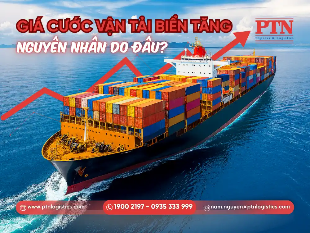 Tìm hiểu nguyên nhân giá cước vận tải biển tăng cao