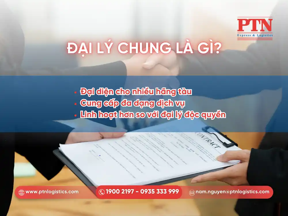 Tìm hiểu về đại lý chung