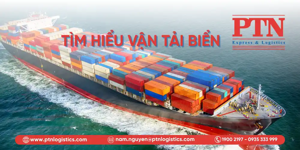 Tìm hiểu về vận tải biển trong chuỗi cung ứng toàn cầu