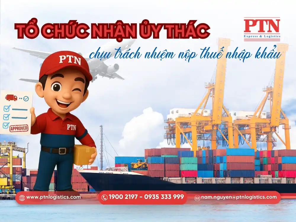 Tổ chức nhận ủy thác phải chịu trách nhiệm nộp thuế nhập khẩu