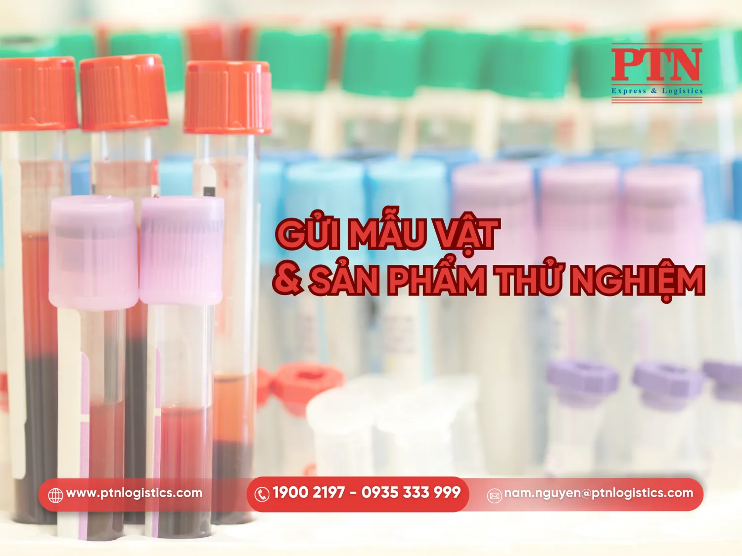 Gửi mẫu vật và sản phẩm thử nghiệm