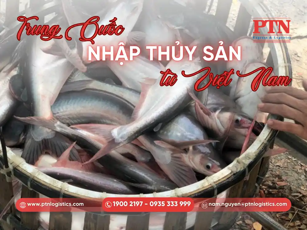 Trung Quốc nhập thủy sản từ Việt Nam