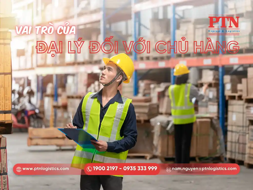 Vai trò của đại lý hãng tàu đối với chủ hàng