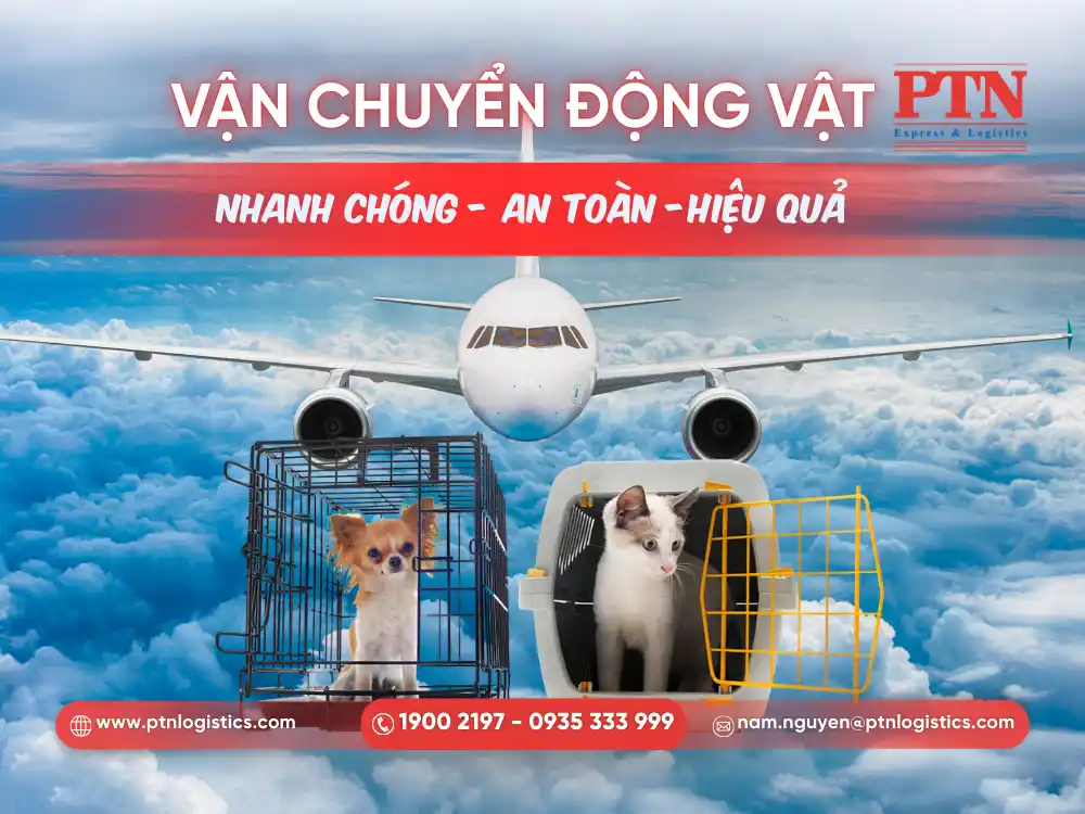 Vận chuyển hàng động vật sống bằng máy bay
